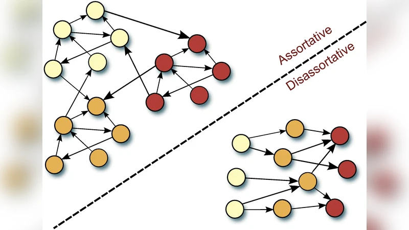 Topological Feature Based Classification