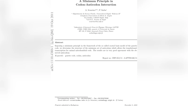 A Minimum Principle in Codon-Anticodon Interaction