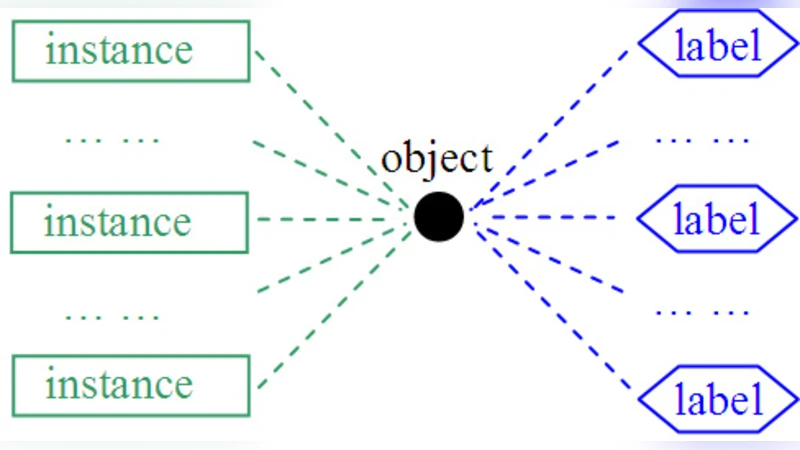 Multi-Instance Multi-Label Learning