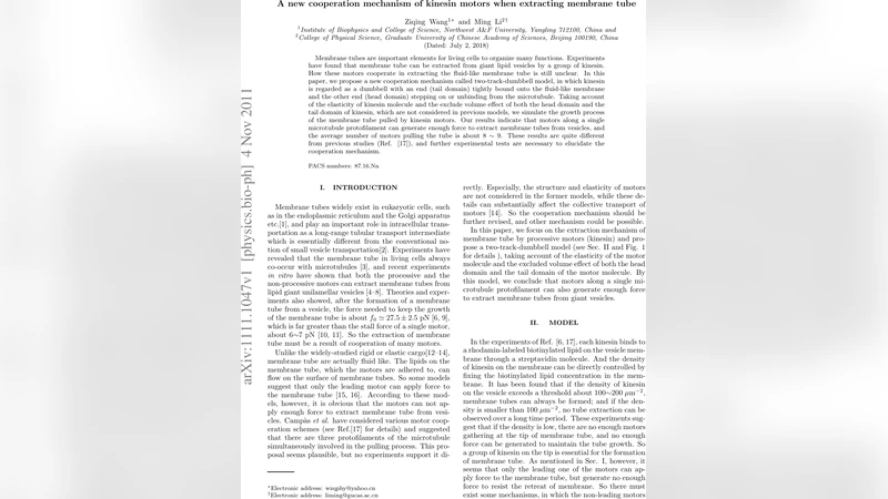 A new cooperation mechanism of kinesin motors when extracting membrane   tube