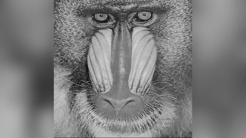 Breaking a chaotic image encryption algorithm based on perceptron model