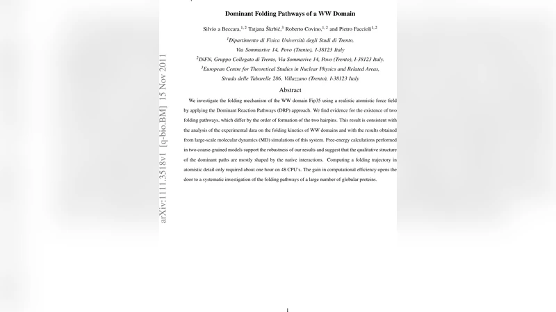Dominant Folding Pathways of a WW Domain