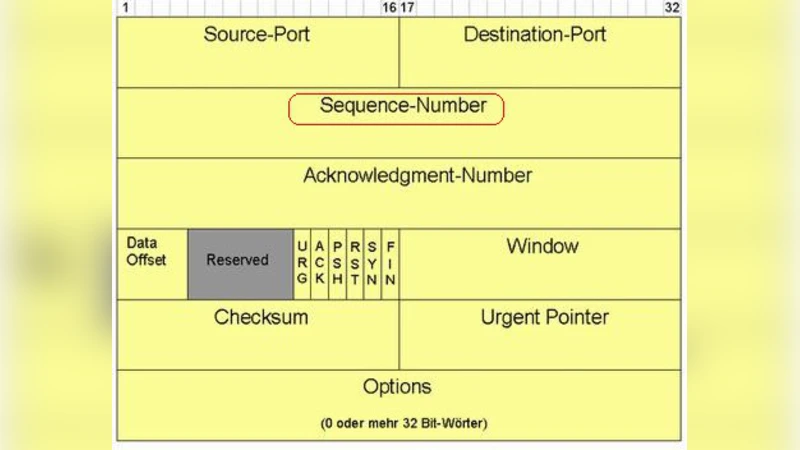 Steganography and Steganalysis: Different Approaches