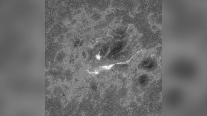 Origin of the submillimeter radio emission during the time-extended   phase of a solar flare