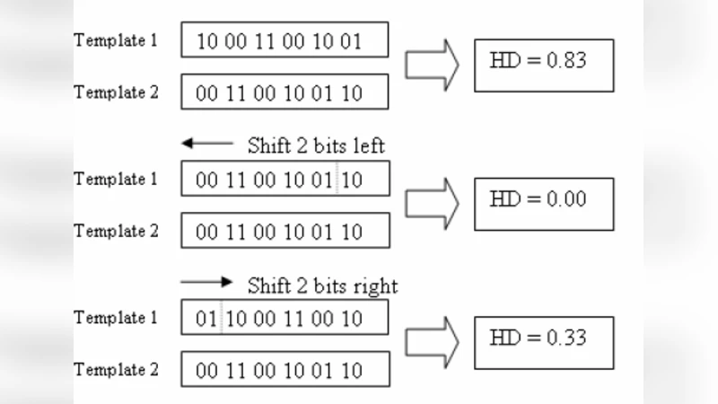 A New IRIS Normalization Process For Recognition System With   Cryptographic Techniques