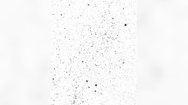 Constraints on the Progenitor System of the Type Ia Supernova SN   2011fe/PTF11kly