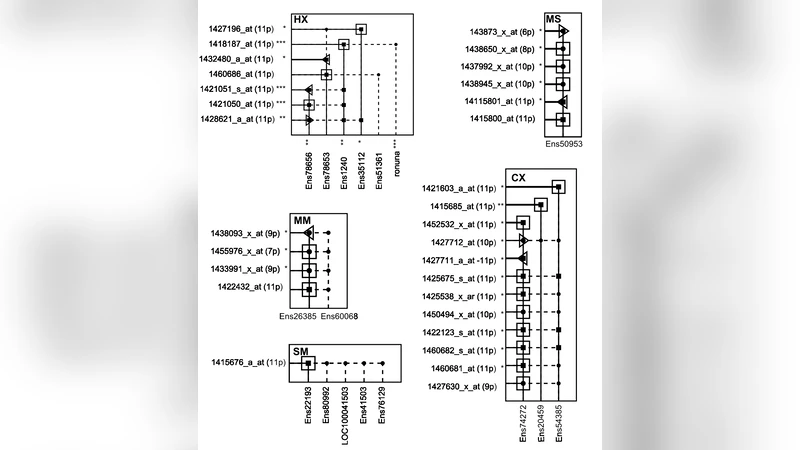 Mapping of Affymetrix probe sets to groups of transcripts using   transcriptional networks