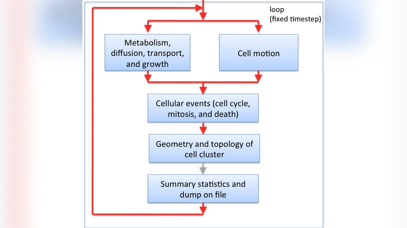 Bridging the gap between the micro- and the macro-world of tumors