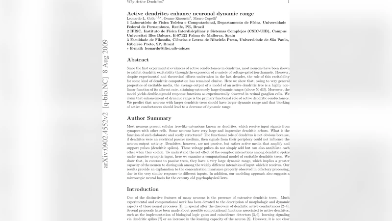 Active dendrites enhance neuronal dynamic range