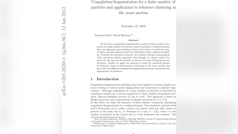 Coagulation-fragmentation for a finite number of particles and   application to telomere clustering in the yeast nucleus