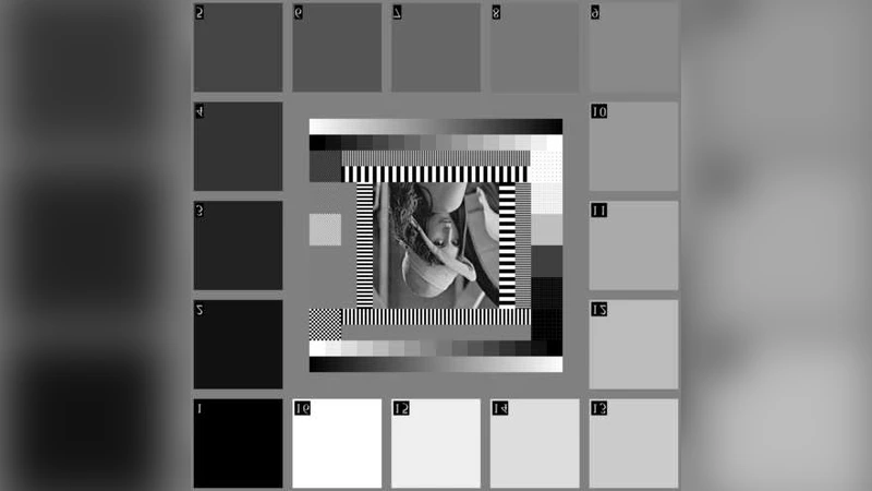 GA based robust blind digital watermarking