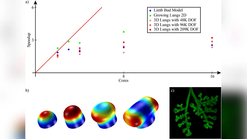 Simulating Organogenesis in COMSOL