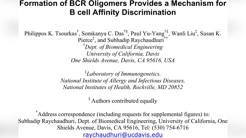 Formation of BCR Oligomers Provides a Mechanism for B cell Affinity   Discrimination
