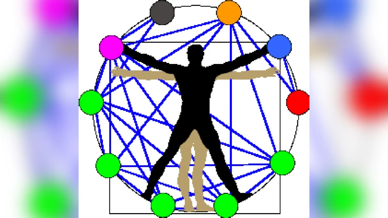 Network Physiology reveals relations between network topology and   physiological function
