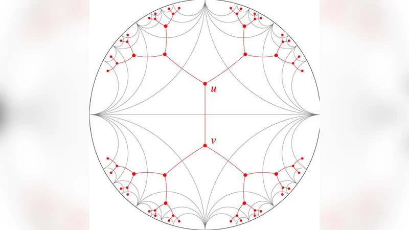 Asymptotic Traffic Flow in a Hyperbolic Network: Non-uniform Traffic