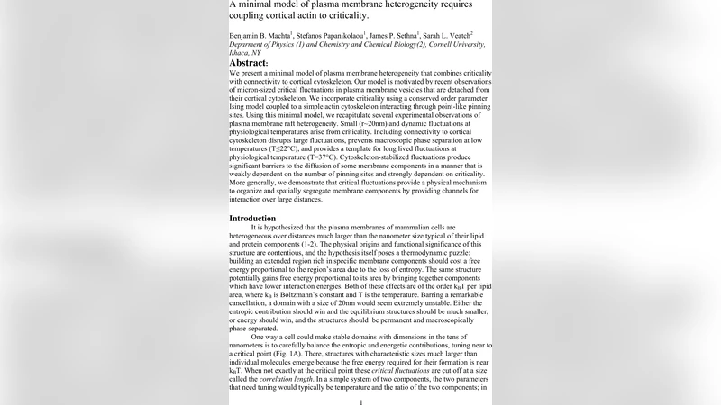 A minimal model of plasma membrane heterogeneity requires coupling   cortical actin to criticality