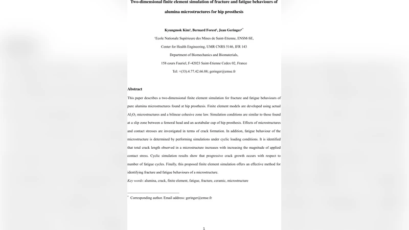 Two-dimensional finite element simulation of fracture and fatigue   behaviours of alumina microstructures for hip prosthesis
