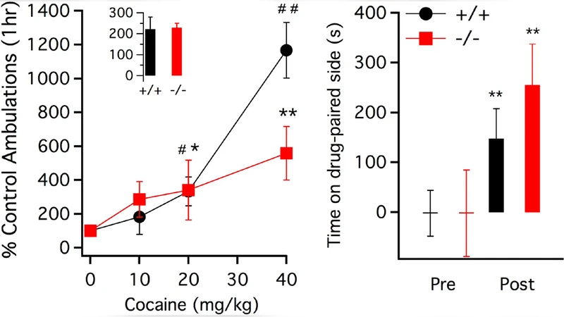 mGluR5 Knockout mice exhibit normal conditioned place-preference to   cocaine