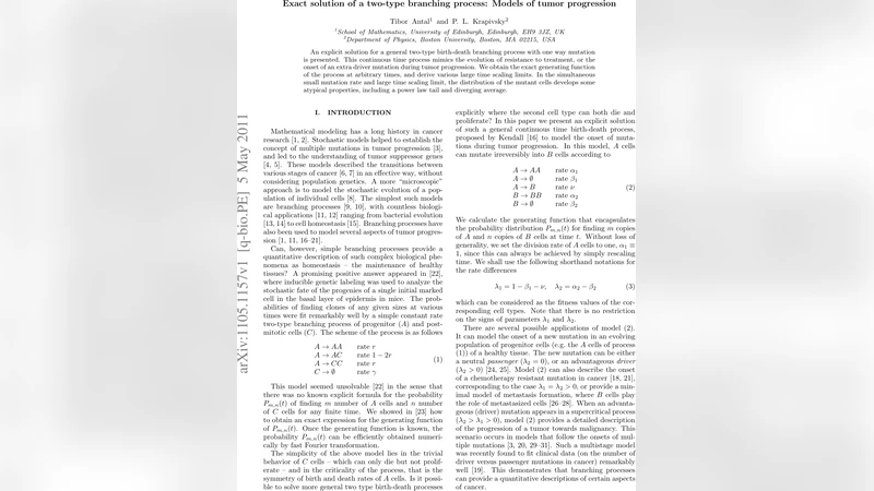 Exact solution of a two-type branching process: Models of tumor   progression