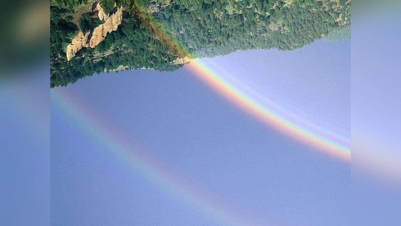 Model of pathogenesis of psoriasis. Part 2. Local processes