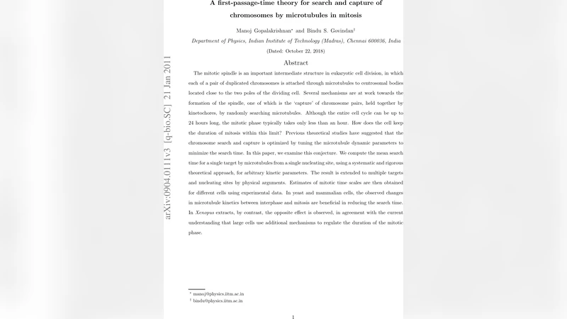 A first-passage-time theory for search and capture of chromosomes by   microtubules in mitosis