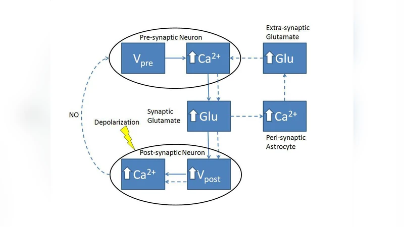 A Mathematical model for Astrocytes mediated LTP at Single Hippocampal   Synapses