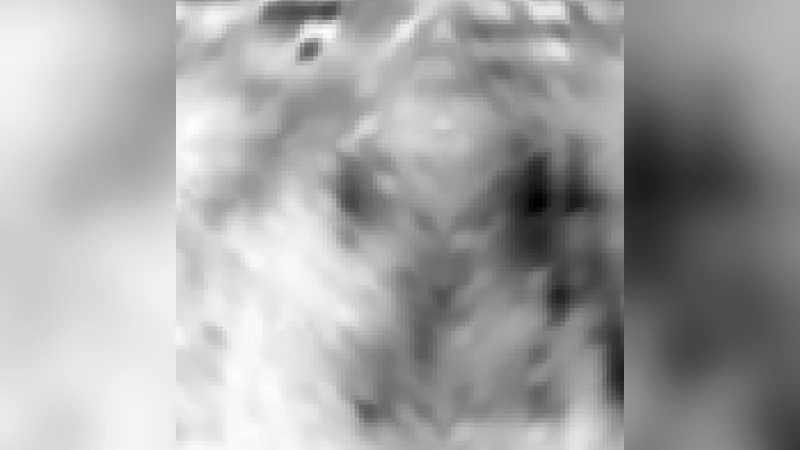 A population of isolated hard X-ray sources near the supernova remnant   Kes 69