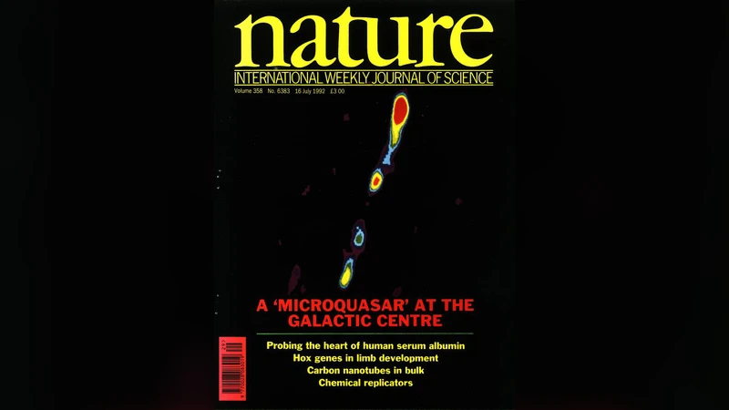 The Early History of Microquasar Research