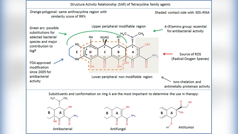 Classification Framework and Structure-Activity-Relationship (SAR) of   Tetracycline-Structure-Based Drugs