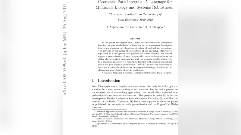 Geometric Path Integrals. A Language for Multiscale Biology and Systems   Robustness
