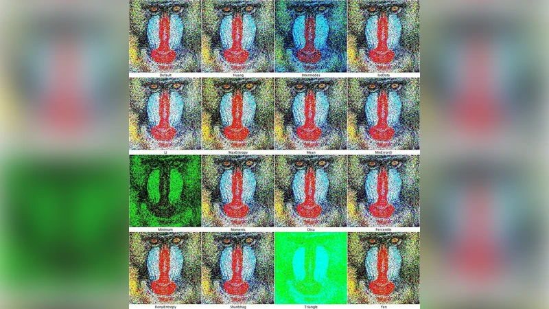 Segmentation of Offline Handwritten Bengali Script