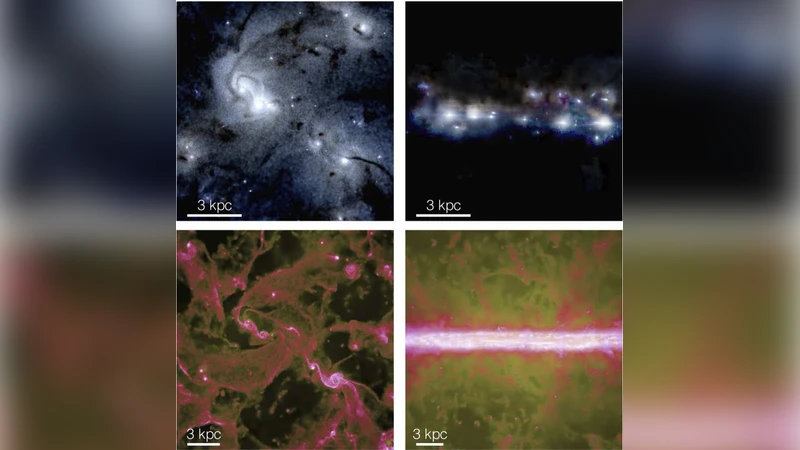 The Structure of the Interstellar Medium of Star Forming Galaxies