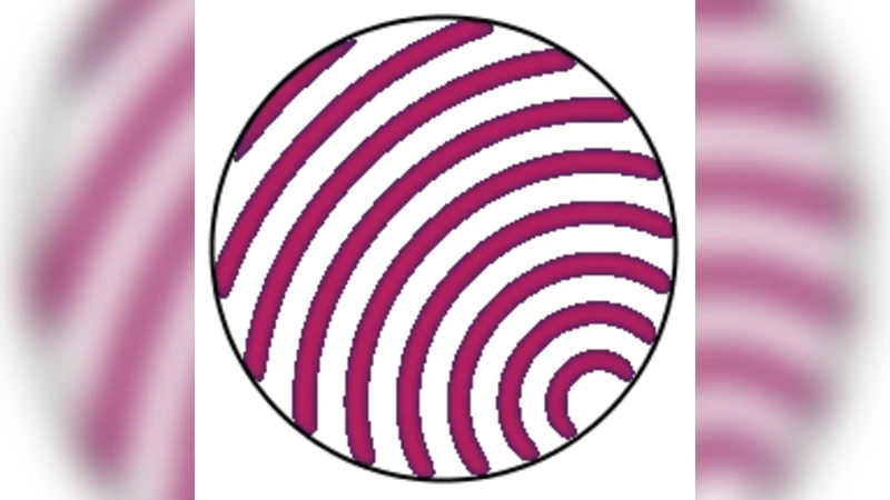 On polymorphic logical gates in sub-excitable chemical medium