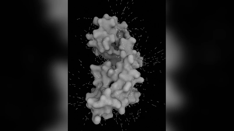 Intuitive representation of surface properties of biomolecules using   BioBlender