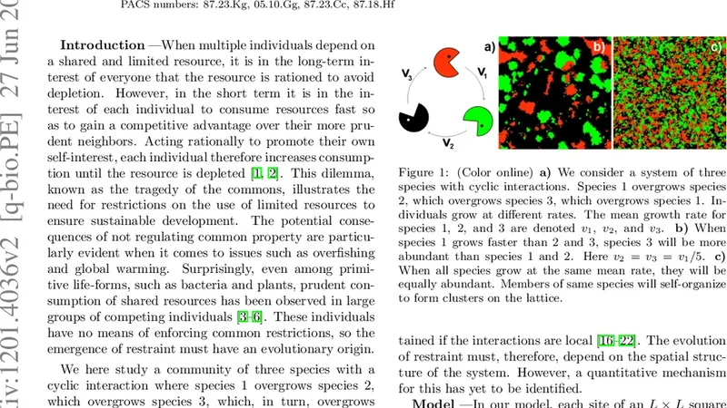 Clonal selection prevents tragedy of the commons when neighbors compete   in a rock-paper-scissors game