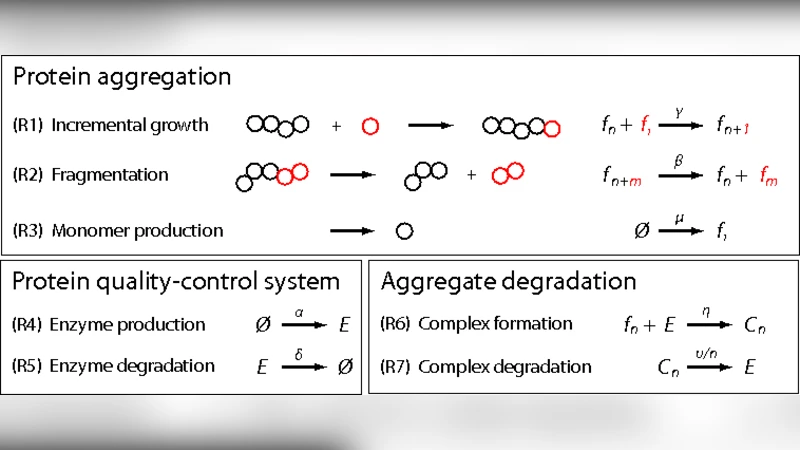 Quality Control System Response to Stochastic Growth of Amyloid Fibrils