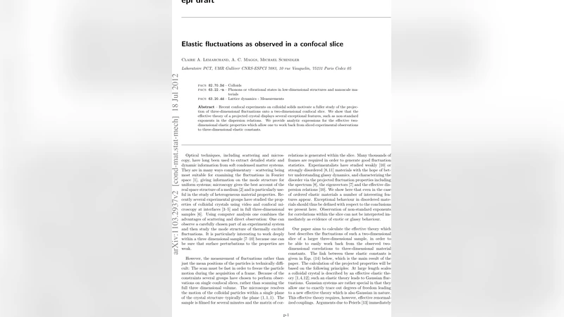 Elastic fluctuations as observed in a confocal slice