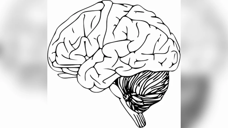 Mapping and Reducing the Brain on the Cloud