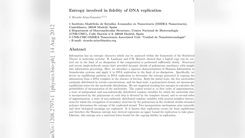 Entropy involved in fidelity of DNA replication