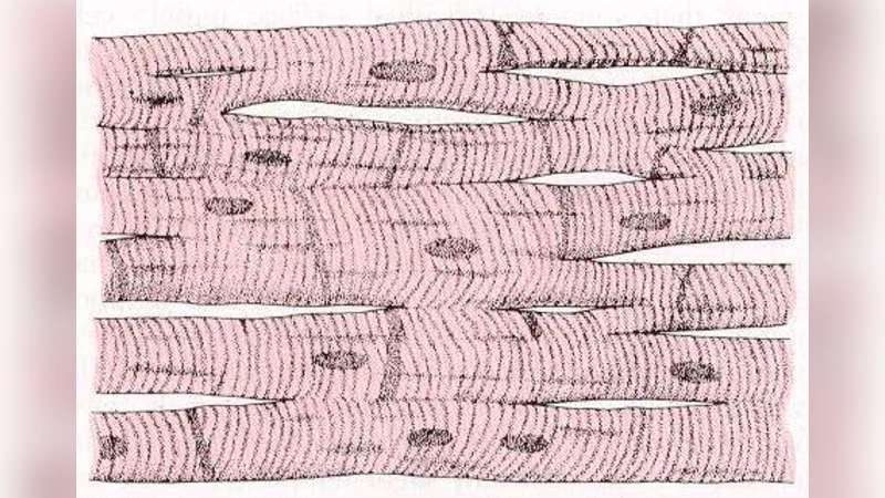 Modelling the effect of gap junctions on tissue-level cardiac   electrophysiology