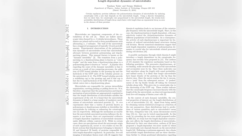 Length-dependent dynamics of microtubules