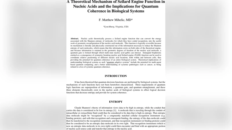 A Theoretical Mechanism of Szilard Engine Function in Nucleic Acids and   the Implications for Quantum Coherence in Biological Systems