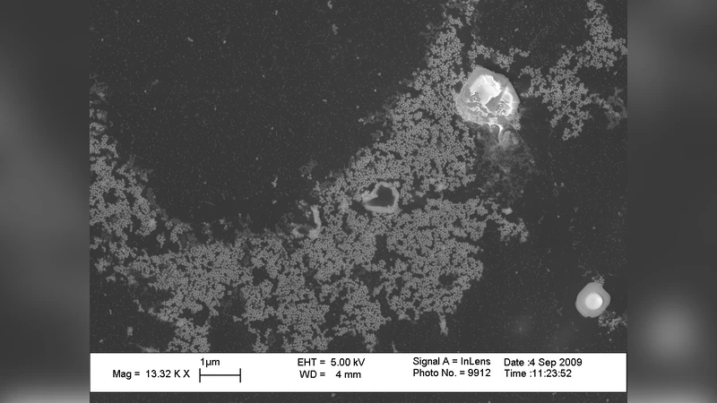 Iterative Algorithms for Ptychographic Phase Retrieval