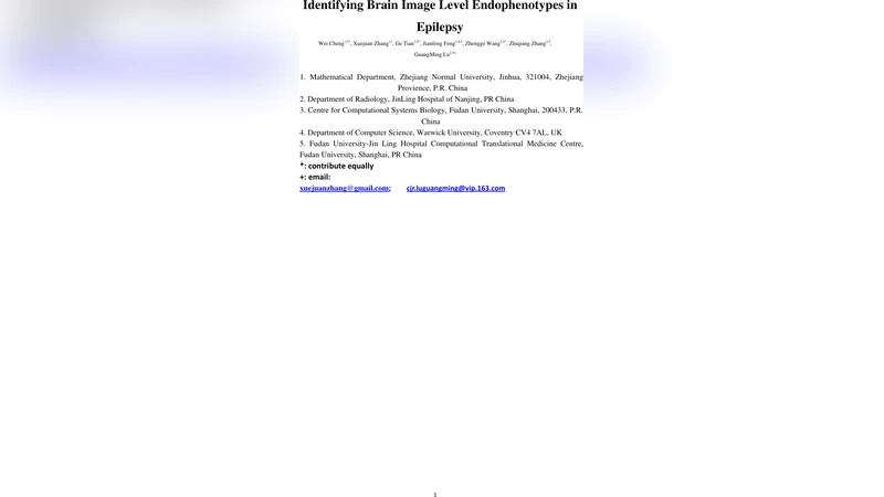 Identifying Brain Image Level Endophenotypes in Epilepsy