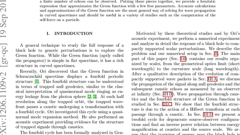 Caustic echoes from a Schwarzschild black hole
