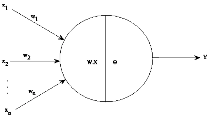 Examples of Artificial Perceptions in Optical Character Recognition and   Iris Recognition