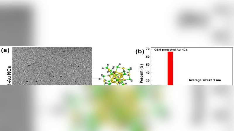 In Vivo Renal Clearance, Biodistribution, Toxicity of Gold nanoclusters
