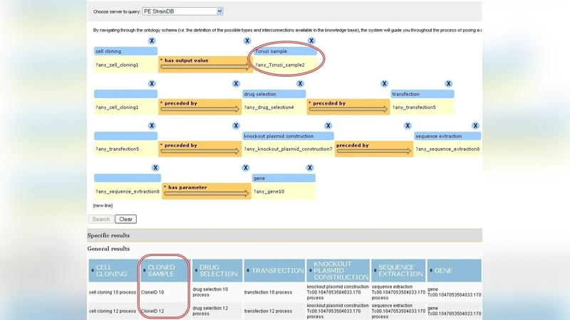 Binary interaction algorithms for the simulation of flocking and   swarming dynamics