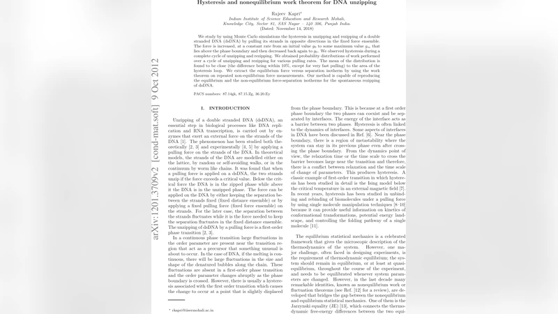 Hysteresis and nonequilibrium work theorem for DNA unzipping