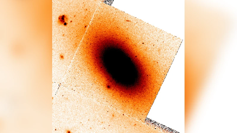 Residual Cooling and Persistent Star Formation amid AGN Feedback in   Abell 2597